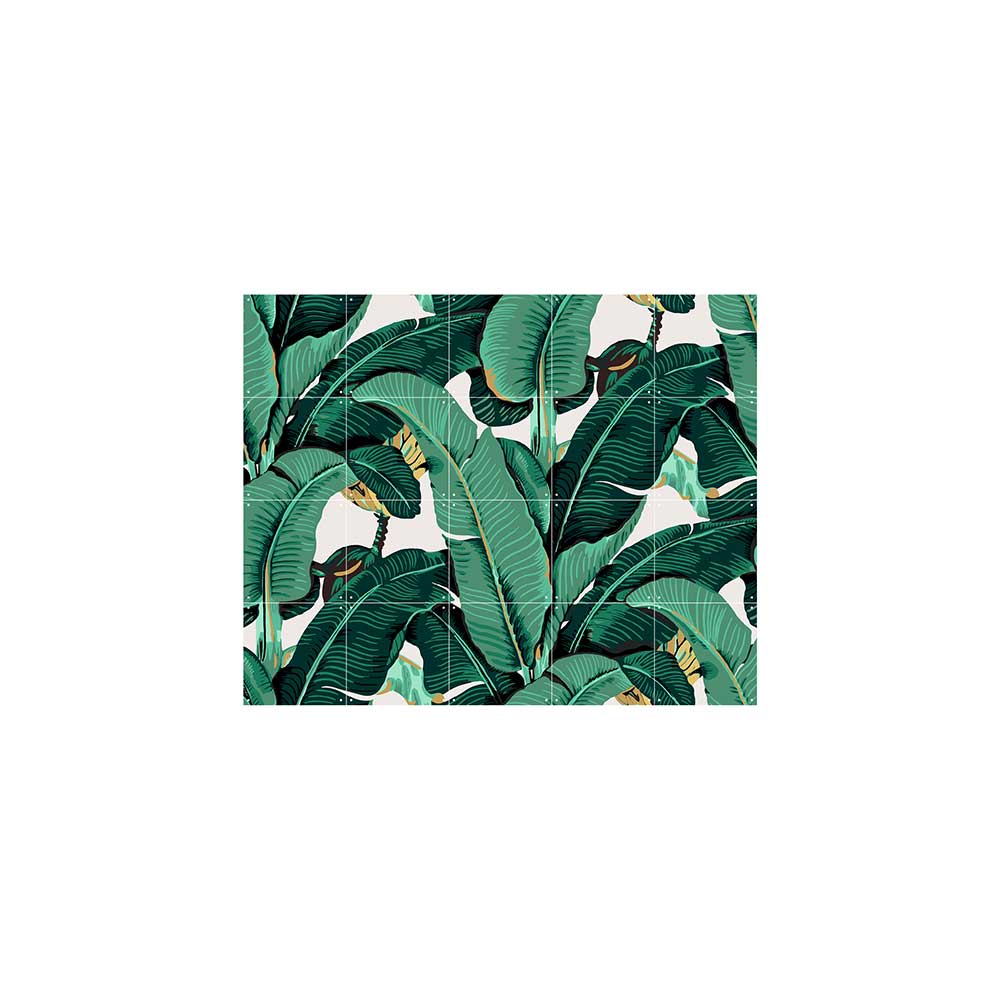 ixxi-ixhns001(1) ixxi-ixhns001(1)