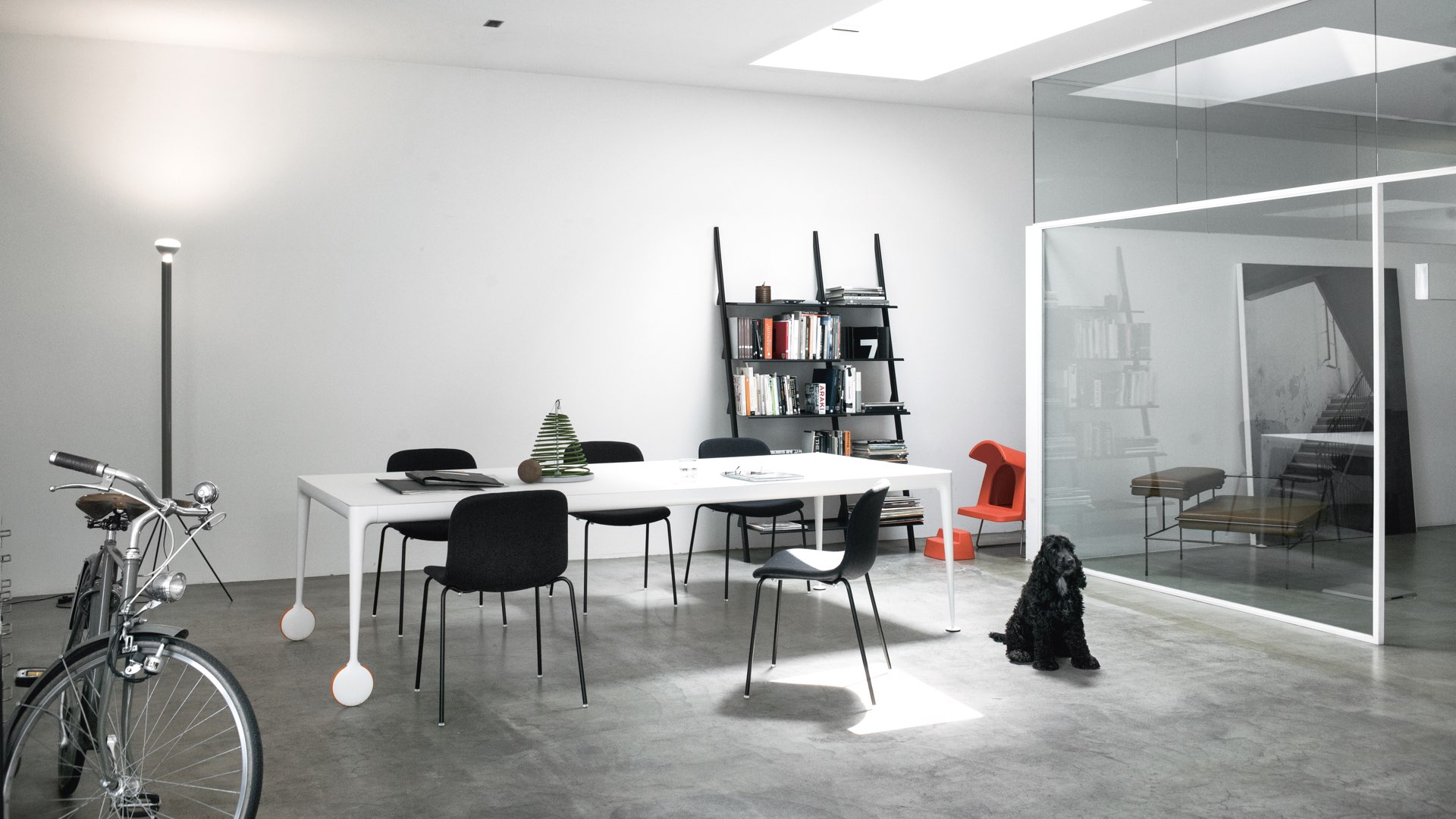 magis-big-will-ambiente-3 magis-big-will-ambiente-3