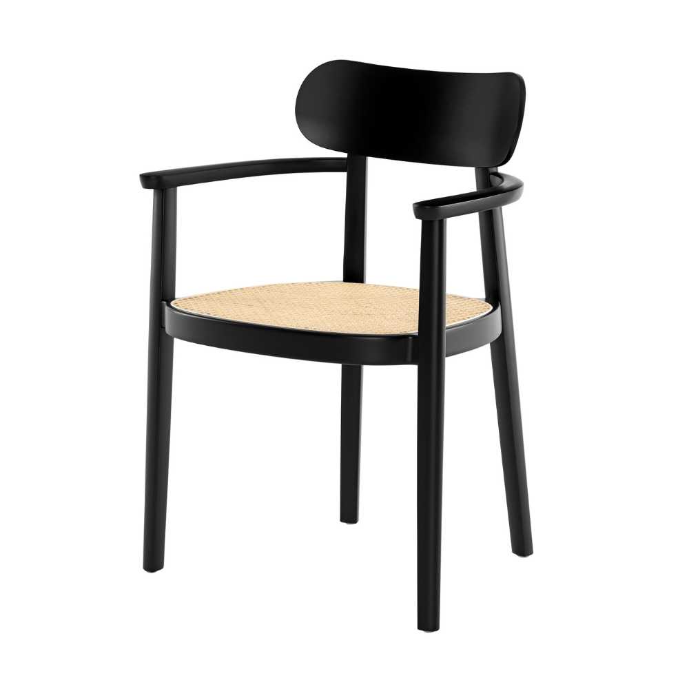 thonet118fv1