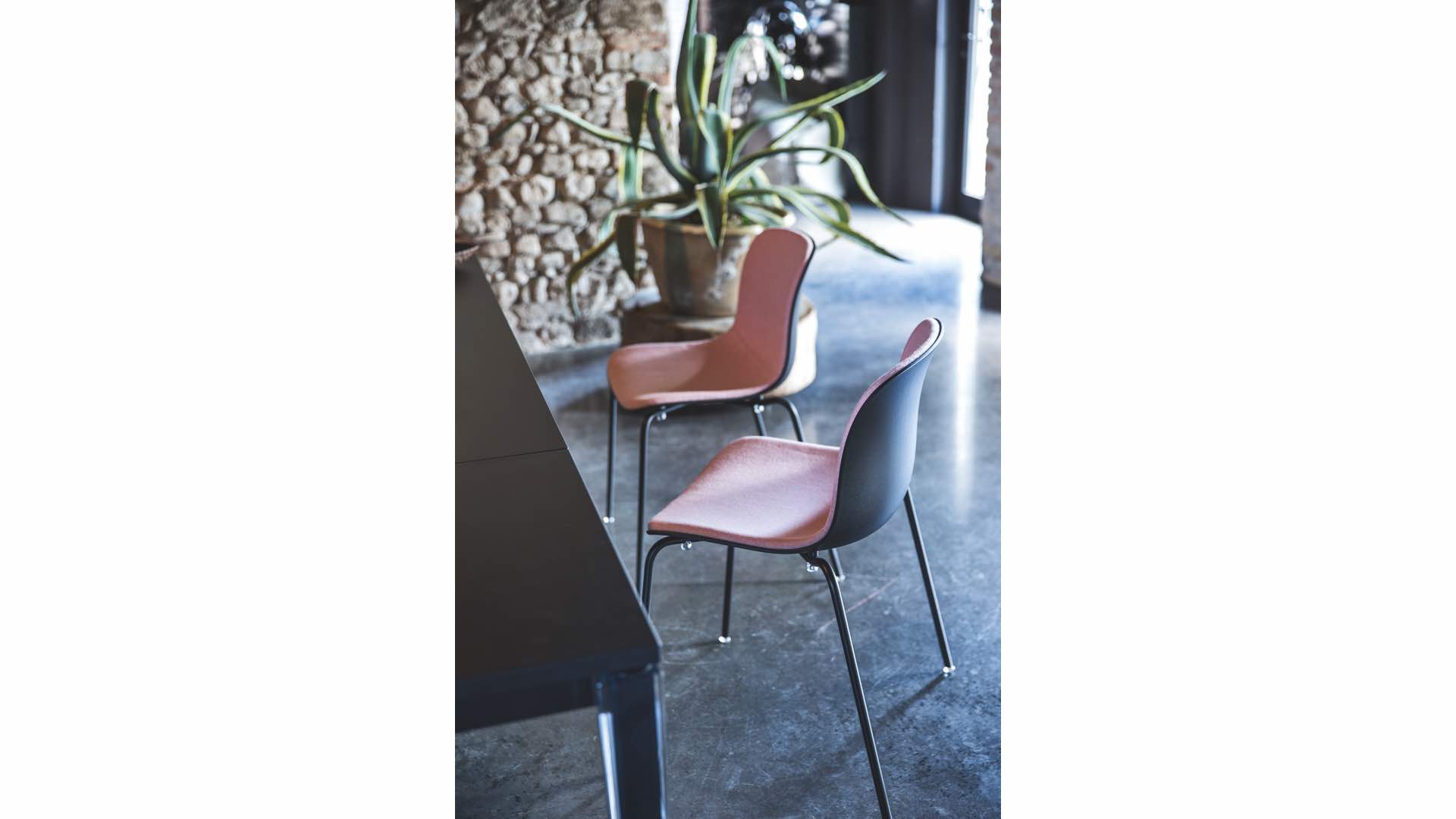 magis-troy_2 magis-troy_2