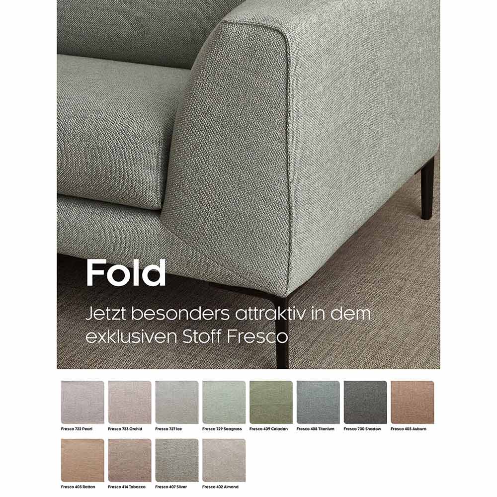 fold-in-fresco1 fold-in-fresco1