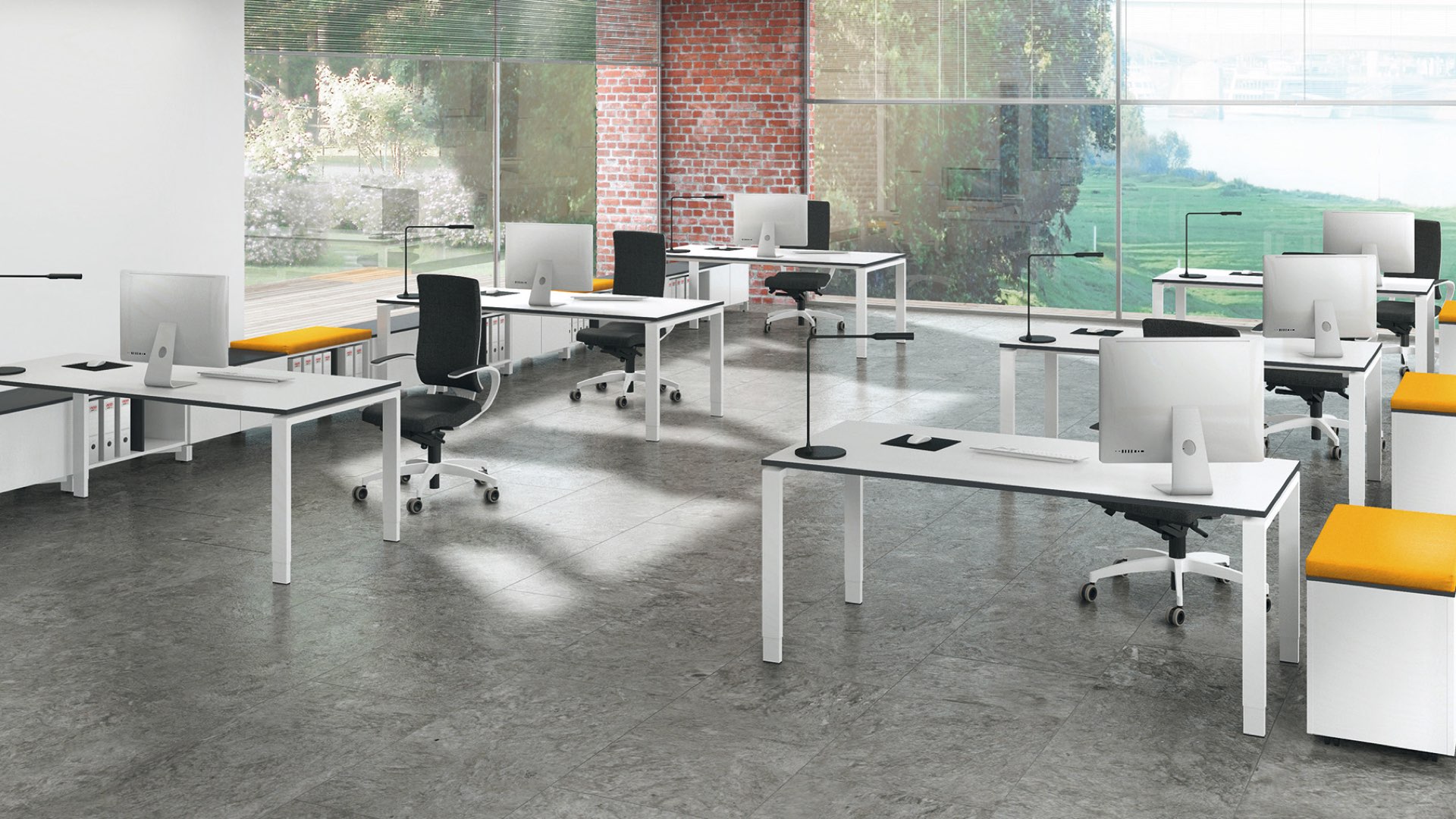 assmann-solos-bro assmann-solos-bro