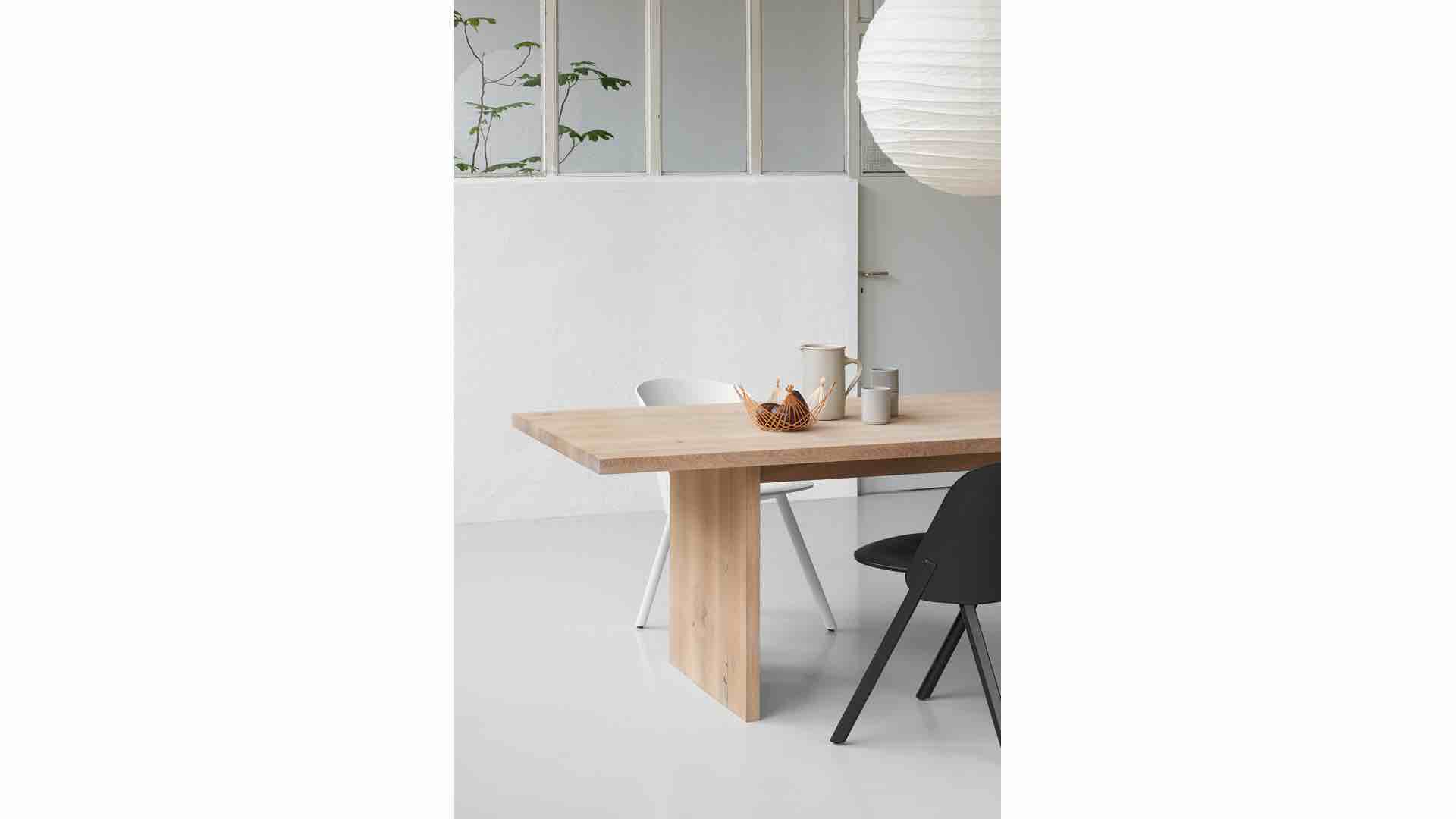 e15-ashida-ambiente-3 e15-ashida-ambiente-3