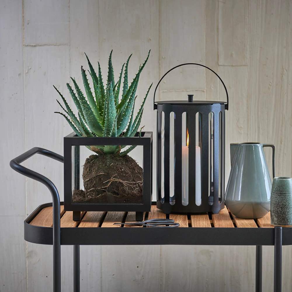 caneline-roll-trolley-ambiente caneline-roll-trolley-ambiente
