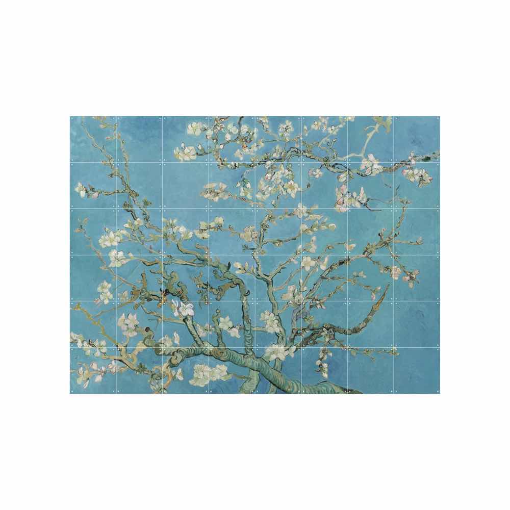 ixxi-almondblossom ixxi-almondblossom